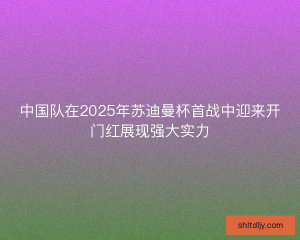 中国队在2025年苏迪曼杯首战中迎来开门红展现强大实力