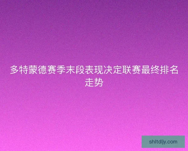 多特蒙德赛季末段表现决定联赛最终排名走势